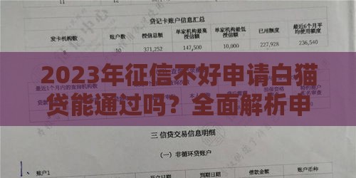 2023年征信不好申请白猫贷能通过吗？全面解析申请条件与技巧