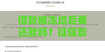 借款被冻结后要还款吗？征信影响全面解析