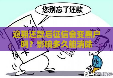 逾期还款后征信会变黑户吗？影响多久能消除