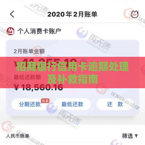 招商银行信用卡逾期处理及补救指南