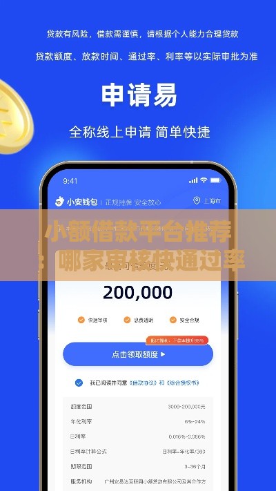 小额借款平台推荐：哪家审核快通过率高？