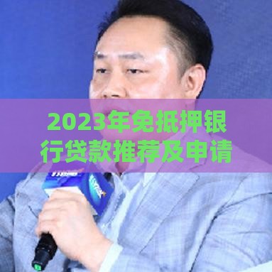 2023年免抵押银行贷款推荐及申请指南