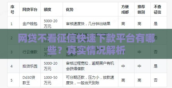 网贷不看征信快速下款平台有哪些？真实情况解析