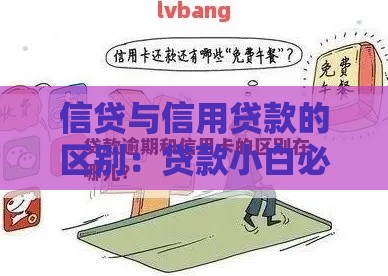 信贷与信用贷款的区别：贷款小白必知的5大核心差异