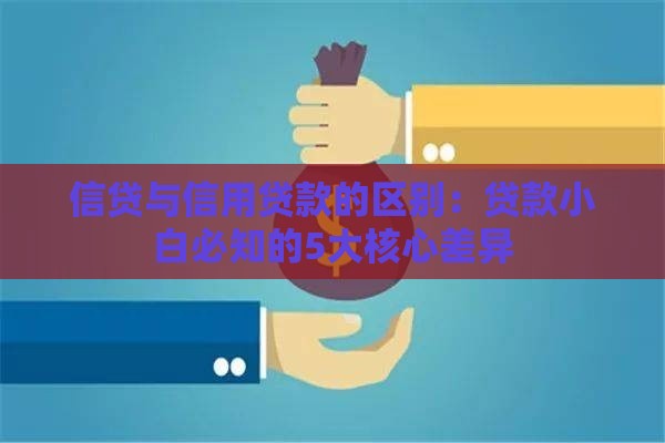 信贷与信用贷款的区别：贷款小白必知的5大核心差异