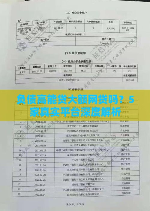 负债高能贷大额网贷吗？5家真实平台深度解析