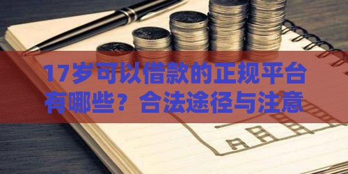 17岁可以借款的正规平台有哪些？合法途径与注意事项