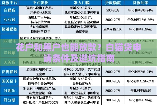 花户和黑户也能放款？白猫贷申请条件及避坑指南
