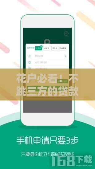 花户必看！不跳三方的贷款口子推荐，快速下款攻略