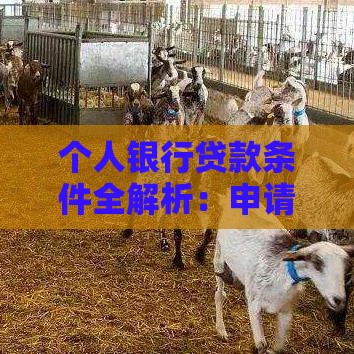 个人银行贷款条件全解析：申请前必看的5大核心要求