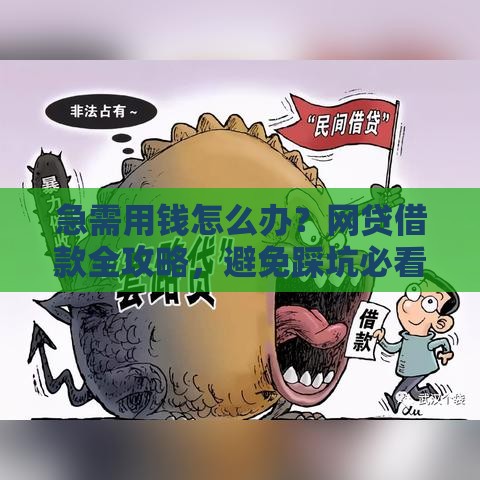 急需用钱怎么办？网贷借款全攻略，避免踩坑必看！