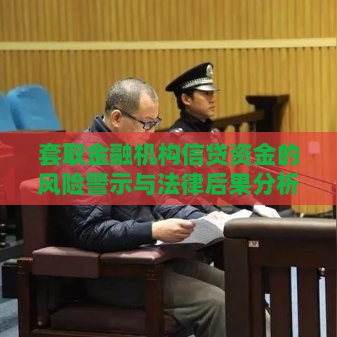 套取金融机构信贷资金的风险警示与法律后果分析
