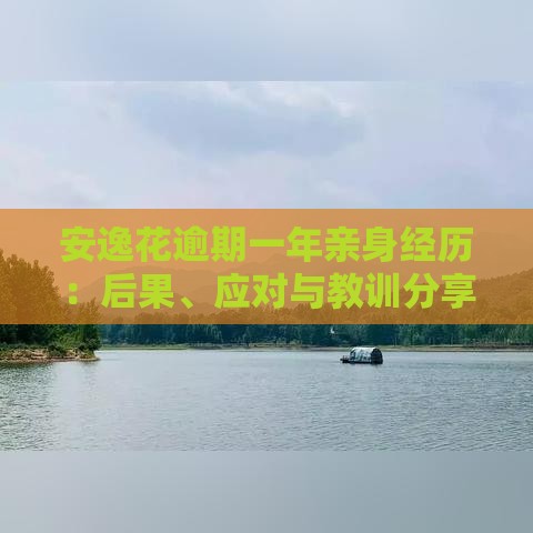 安逸花逾期一年亲身经历：后果、应对与教训分享