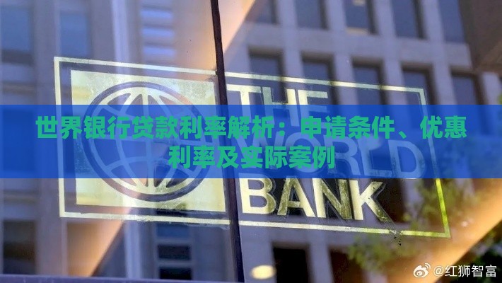 世界银行贷款利率解析：申请条件、优惠利率及实际案例