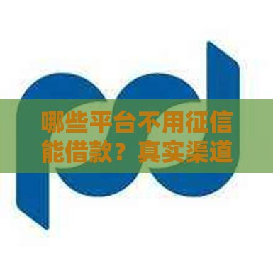 哪些平台不用征信能借款？真实渠道盘点及注意事项