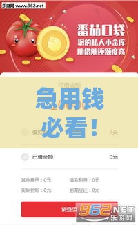 急用钱必看！10个最快放款的借款平台推荐（正规安全）