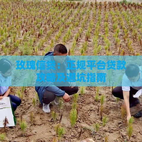 玫瑰信贷：正规平台贷款攻略及避坑指南