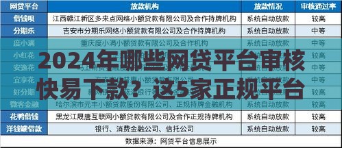 2024年哪些网贷平台审核快易下款？这5家正规平台通过率高
