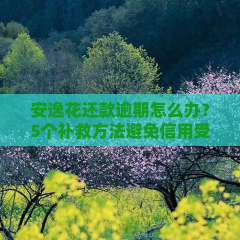 安逸花还款逾期怎么办？5个补救方法避免信用受损