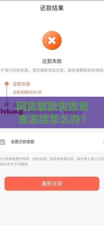 网贷放款失败资金冻结怎么办？5步解决指南