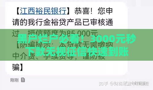 黑户烂户必看！3000元秒下款无视征信快速到账