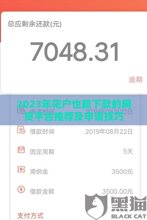 2023年花户也能下款的网贷平台推荐及申请技巧