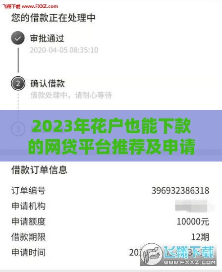 2023年花户也能下款的网贷平台推荐及申请技巧