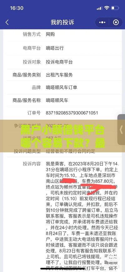 黑户小额借钱平台哪个容易下款？最新实测推荐