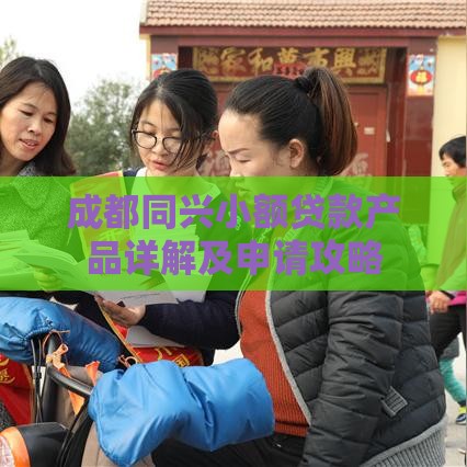 成都同兴小额贷款产品详解及申请攻略