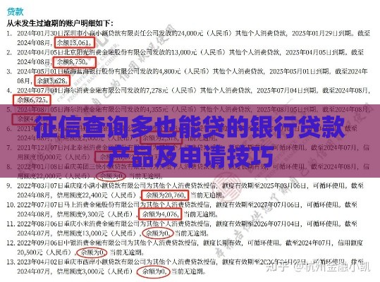 征信查询多也能贷的银行贷款产品及申请技巧