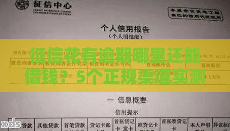 征信花有逾期哪里还能借钱？5个正规渠道实测解析