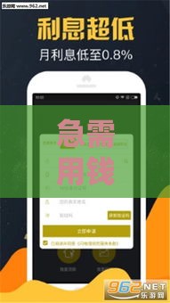 急需用钱却贷不到款？10个实用方法帮你渡过难关