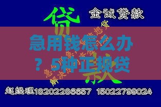 急用钱怎么办？5种正规贷款渠道快速解决资金难题