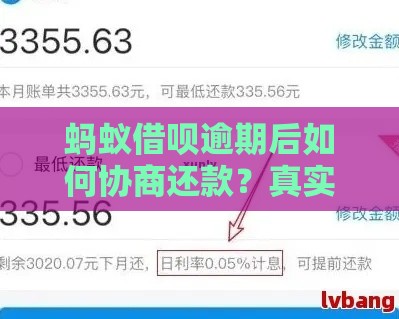 蚂蚁借呗逾期后如何协商还款？真实协商流程解析