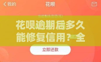 花呗逾期后多久能修复信用？全面解析影响征信的关键因素和恢复方法