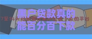 黑户贷款真的能百分百下款吗？揭秘真相与风险防范指南