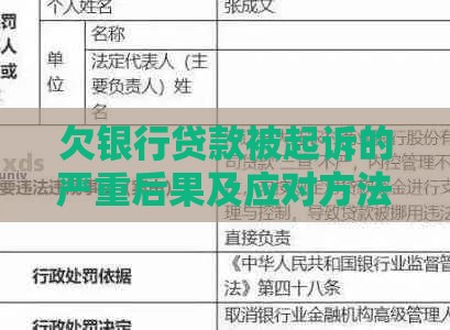 欠银行贷款被起诉的严重后果及应对方法