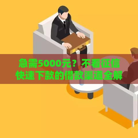 急需5000元？不看征信快速下款的借款渠道全解析