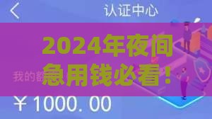 2024年夜间急用钱必看！这8个放水贷款口子真实评测