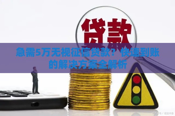急需5万无视征信贷款？快速到账的解决方案全解析