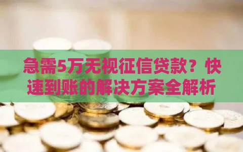 急需5万无视征信贷款？快速到账的解决方案全解析