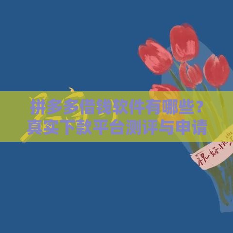 拼多多借钱软件有哪些？真实下款平台测评与申请指南