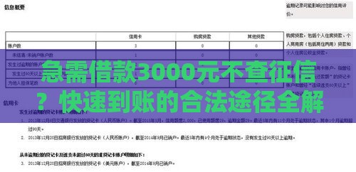 急需借款3000元不查征信？快速到账的合法途径全解析