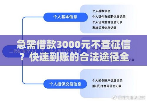 急需借款3000元不查征信？快速到账的合法途径全解析