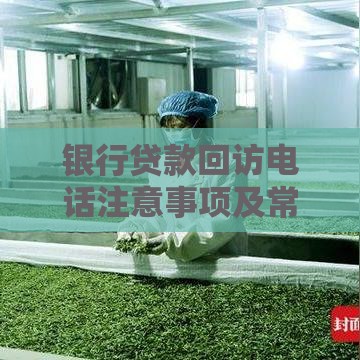 银行贷款回访电话注意事项及常见问题解析