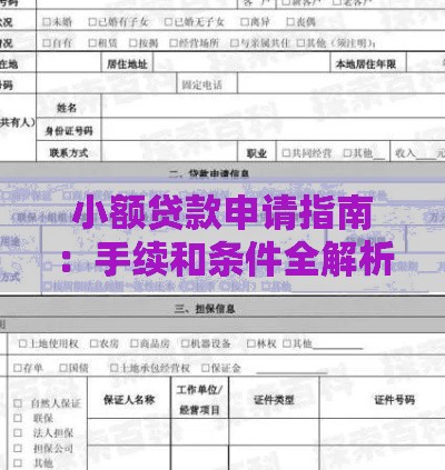 小额贷款申请指南：手续和条件全解析