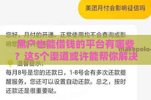 黑户也能借钱的平台有哪些？这5个渠道或许能帮你解决资金难题