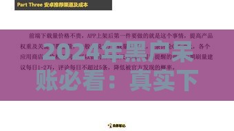 2024年黑户呆账必看：真实下款渠道与避坑指南