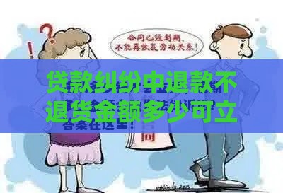 贷款纠纷中退款不退货金额多少可立案？法律维权必读