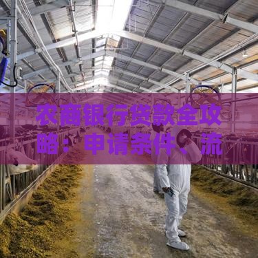 农商银行贷款全攻略：申请条件、流程、注意事项一文看懂